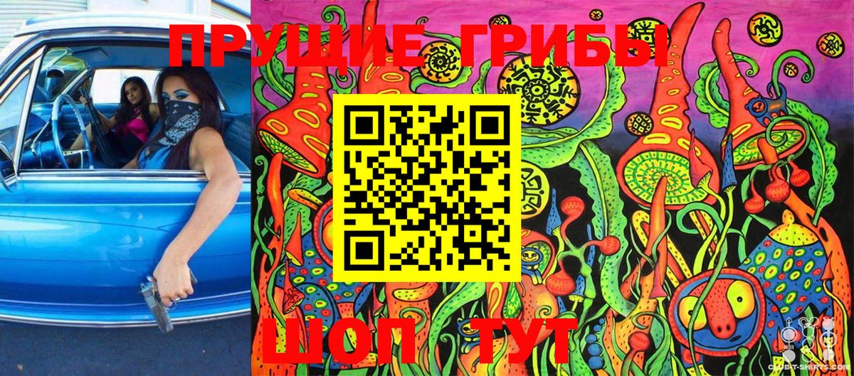 Псилоцибиновые грибы Cubensis Тавда