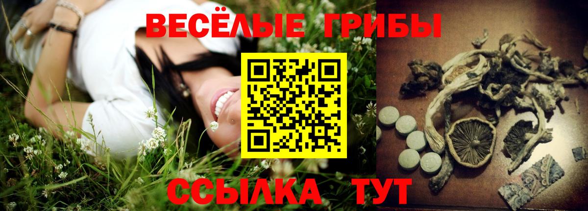 Псилоцибиновые грибы GOLDEN TEACHER  Вход с VPN  Тавда 